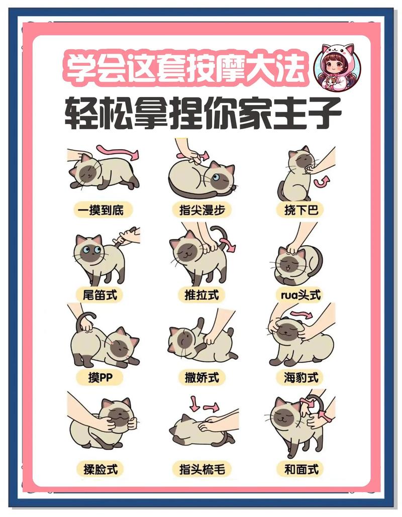 85级猫耳刷了30万怎么变40万