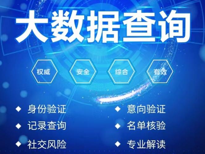 个人网络大数据查询app