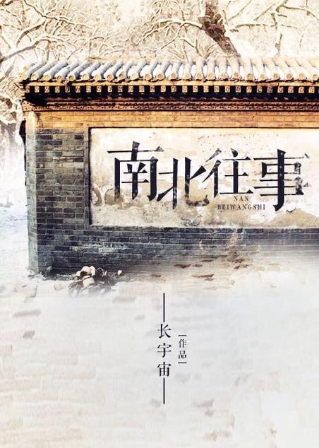 南北往事 小说