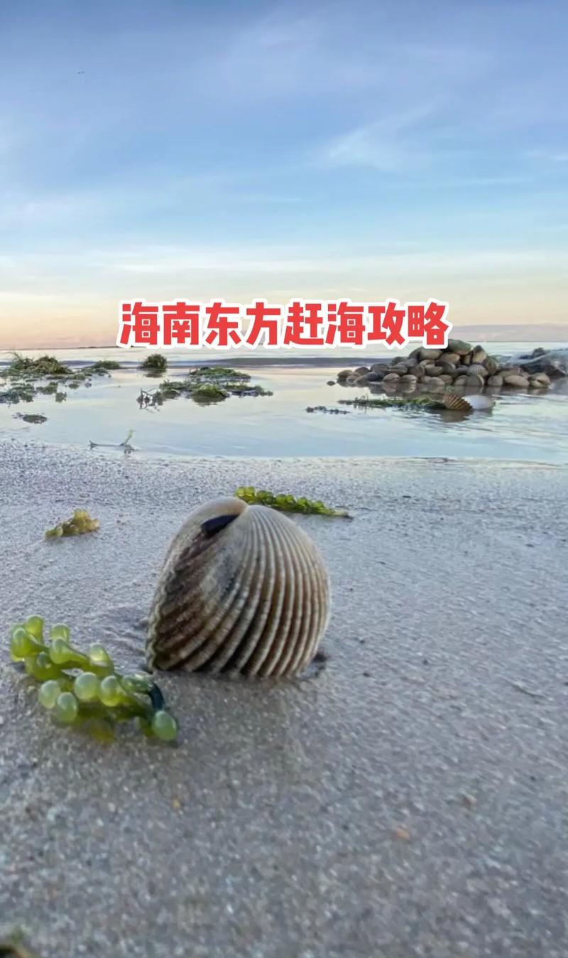东方墩头村潮汐表