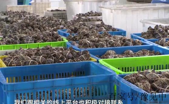 螃蟹生意怎么找销路