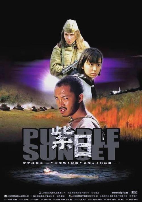 紫日电影完整版