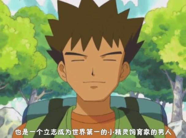 收服宠物战斗动画片