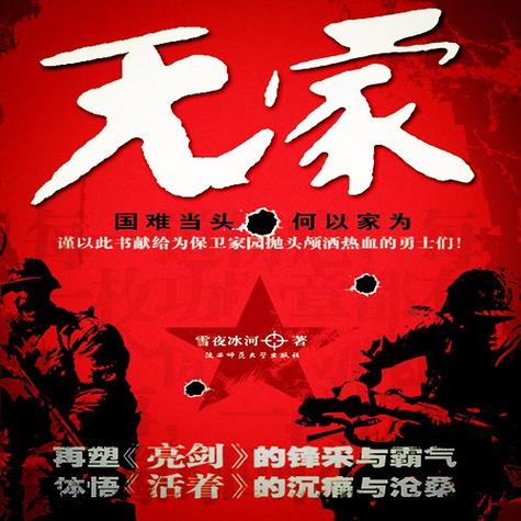 小说无家