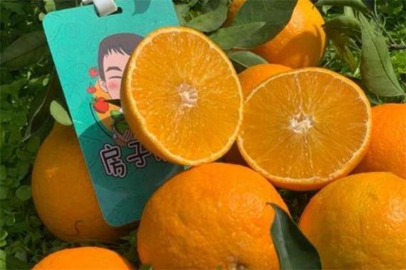 房子优果图标