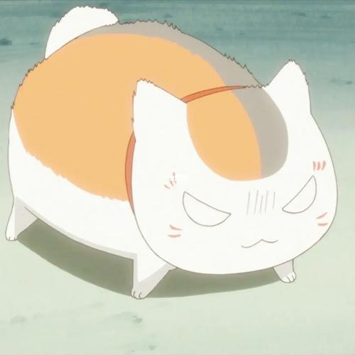 猫咪三三