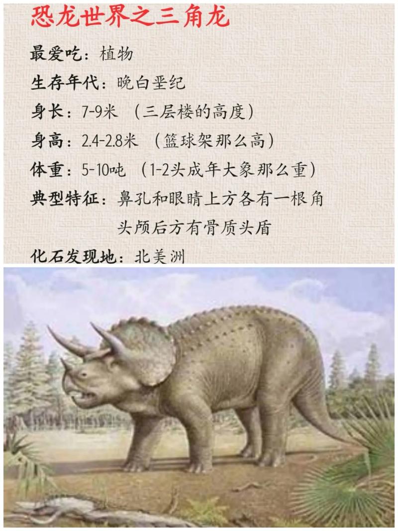 三角龙介绍