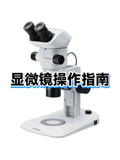 显微镜imageview使用方法