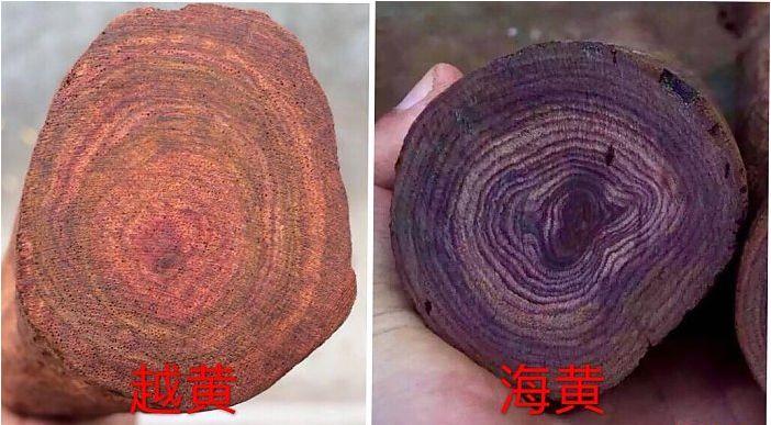 真假黄花梨图片对照