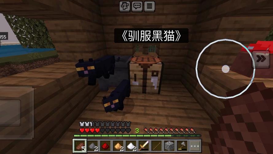 《我的世界》黑猫模组玩法
