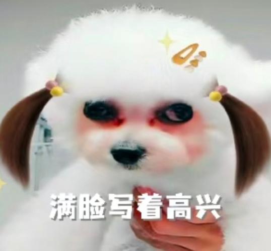 面部表情包图片大全