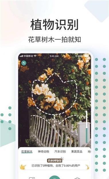 识花君极品花卡
