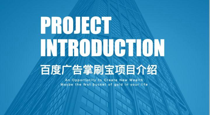 掌刷宝是什么意思