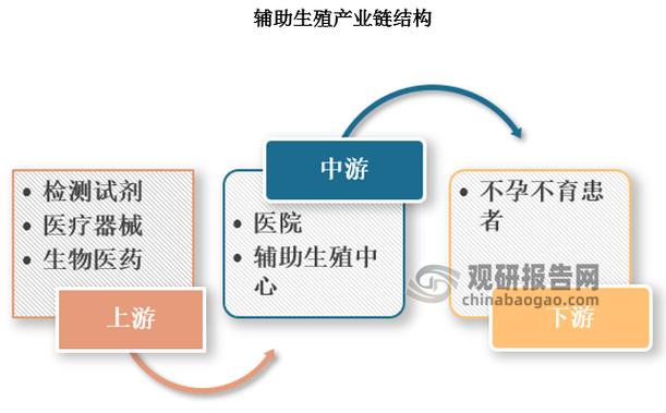 基因检测2026纳入报销范围吗