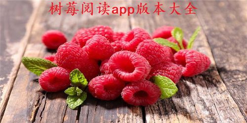 树莓阅读小说下载