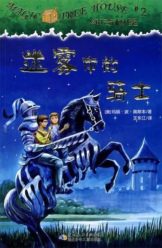 迷雾中的骑士