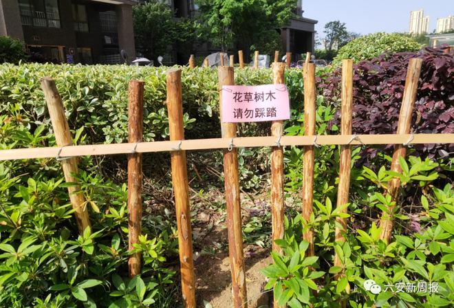 自制简易竹栅栏门