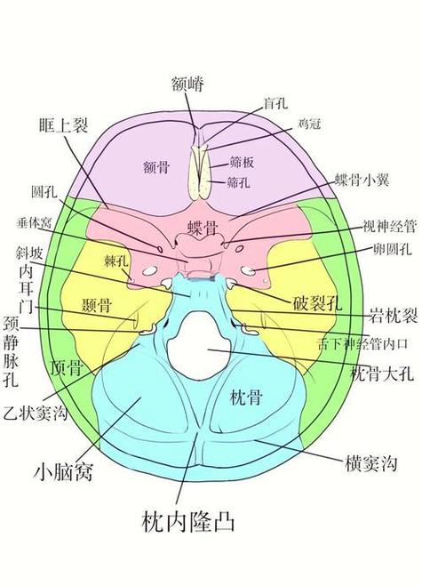 孔的结构和部首是什么