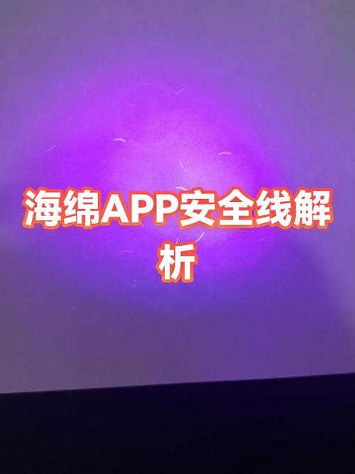 海绵考研app怎么样