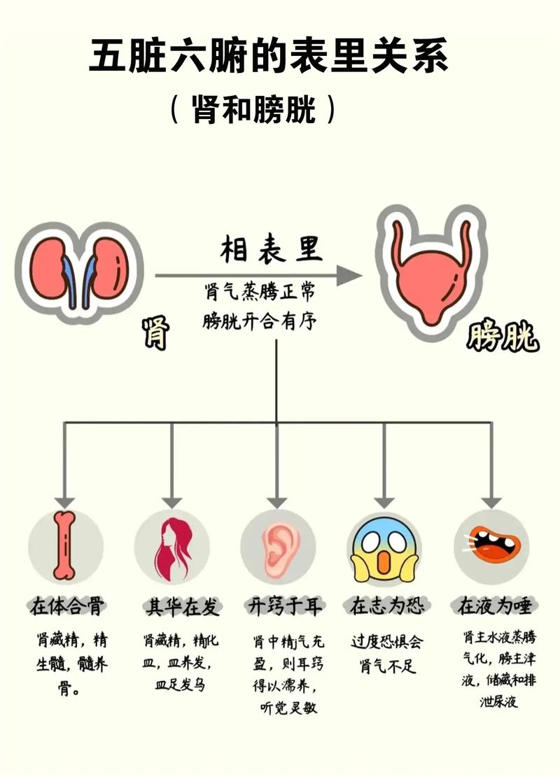 电表里的钱怎么退出来
