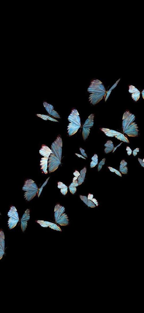 小米手环设置表盘壁纸