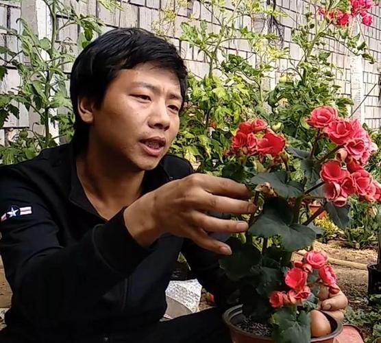 开薪花7天