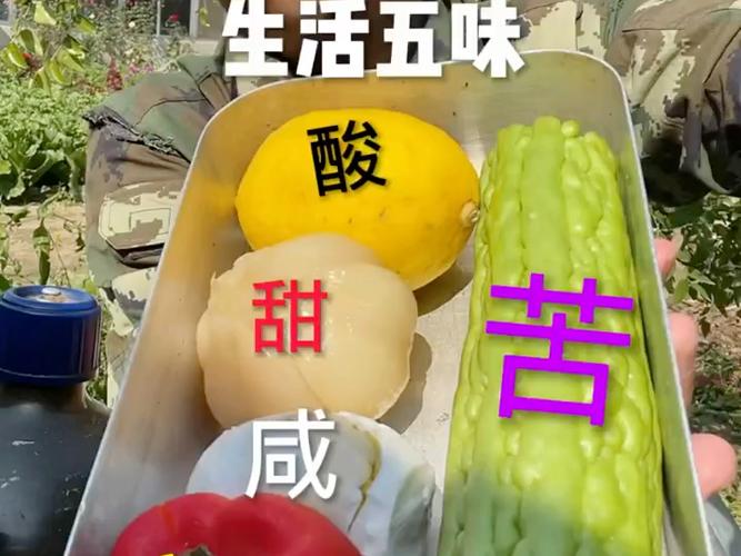 生活就是酸甜苦辣咸