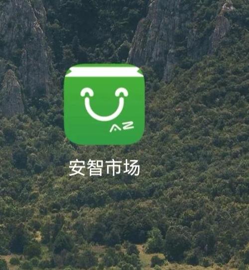 安智市场历史版大全