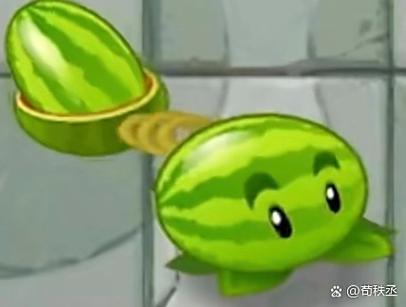 大战僵尸2西瓜