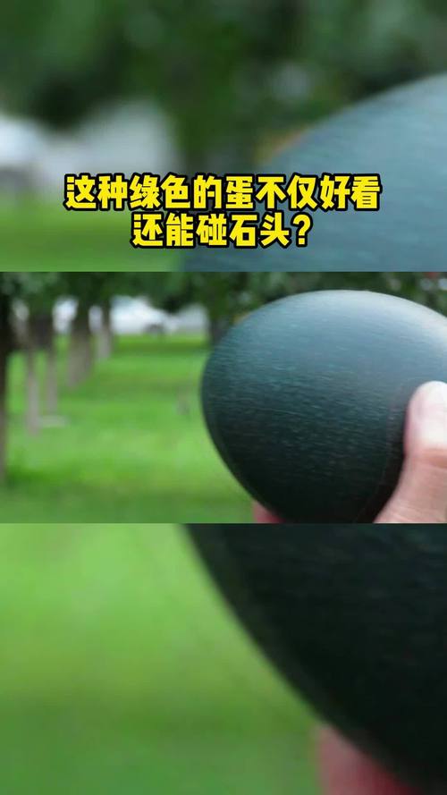 为什么有的鸡下绿壳蛋