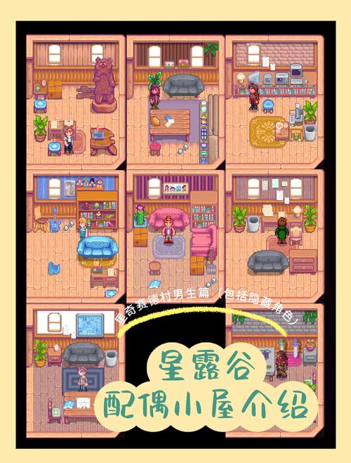 星露谷sve加里奇赛德村