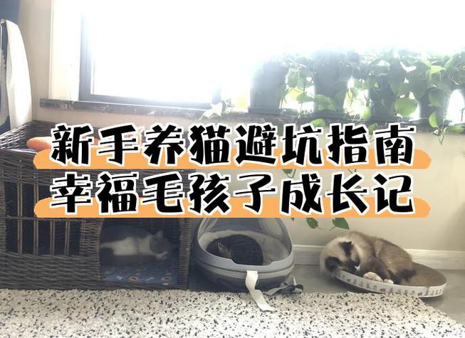 公猫6个月有生育能力吗