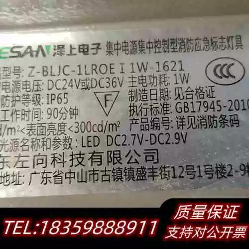 泽上电子消防应急照明灯具