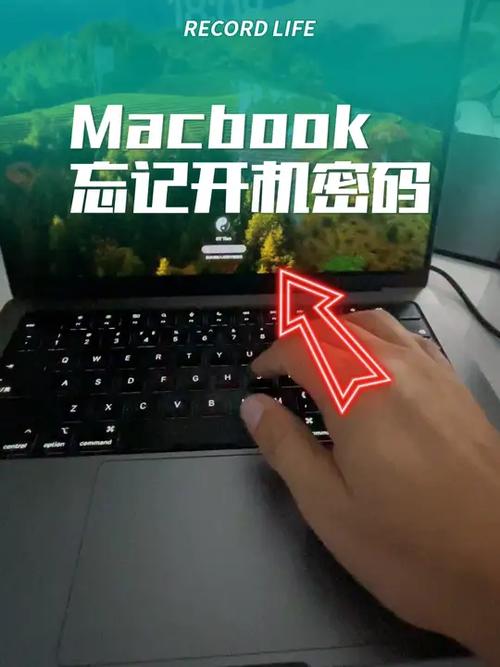 苹果电脑开机显示重设密码