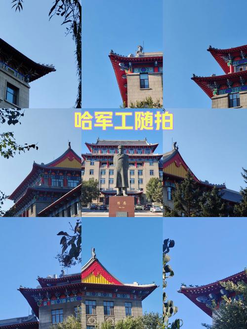 哈军工沈毅的简历