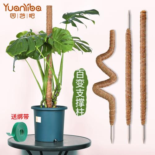 植物大战僵尸如何快速刷钱