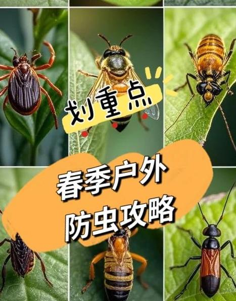 m86蓝莓为啥叫大毒虫