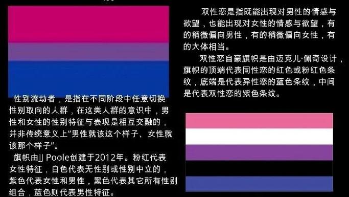 p是什么性别取向