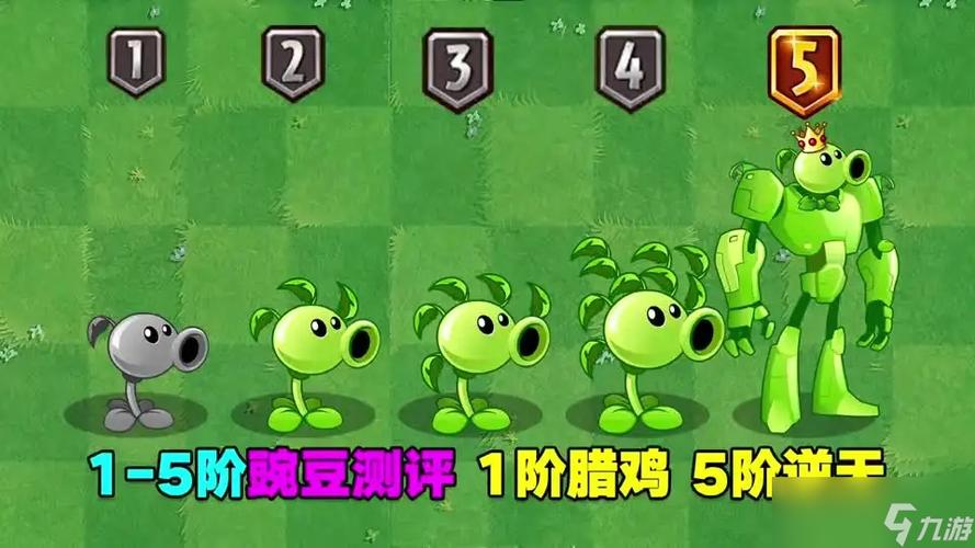 原始豌豆快速升五阶游戏截图