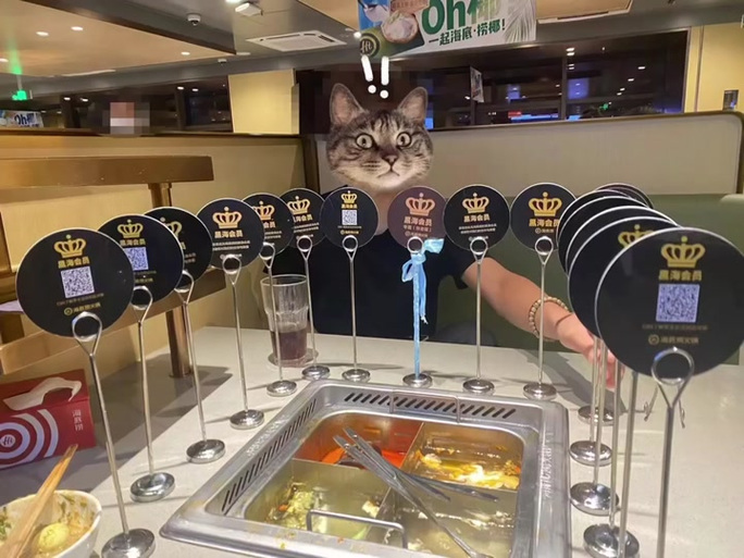 海底捞黑卡会员不用排队