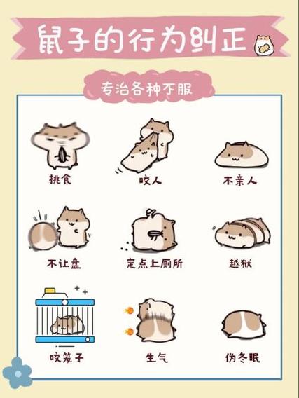 仓鼠身子软了不动了是不是死了