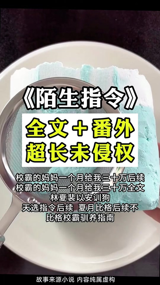 不得不完成的指令小说