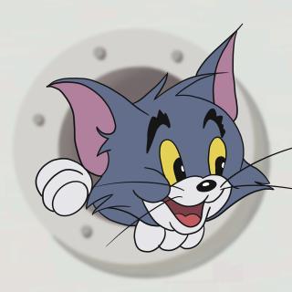 汤姆猫卡通图片