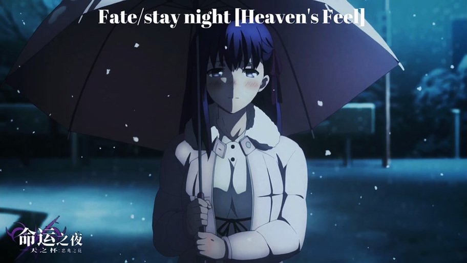 fate圣杯战争樱花动漫