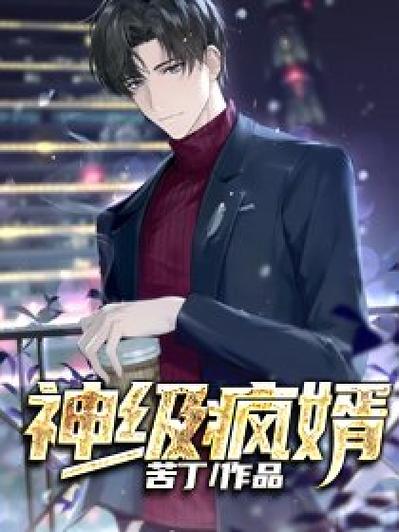 疯婿