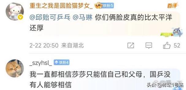 大v粉丝是什么意思