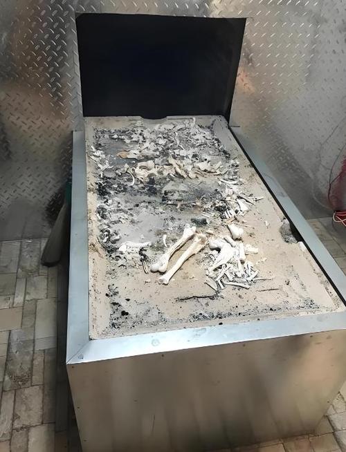 骨灰可怕吗截图