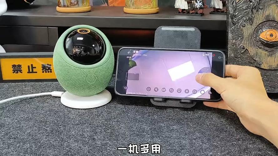 海雀全景摄像头如何共享成员