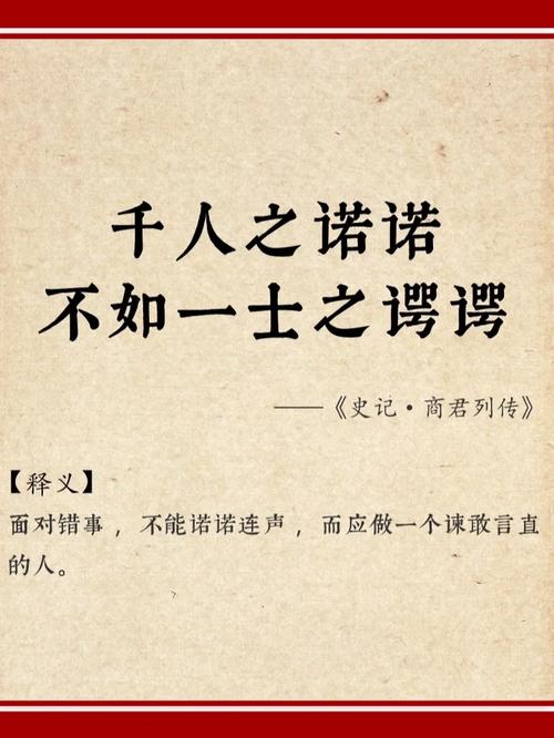我是谜诺言的手记解析截图