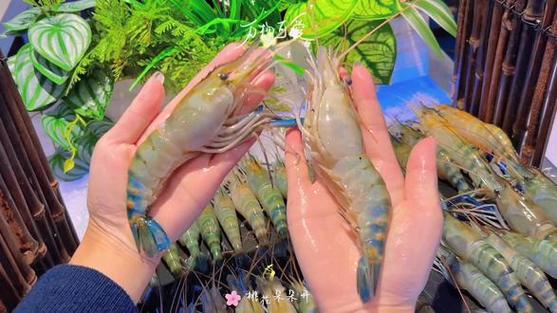 蓝海盛宴图标